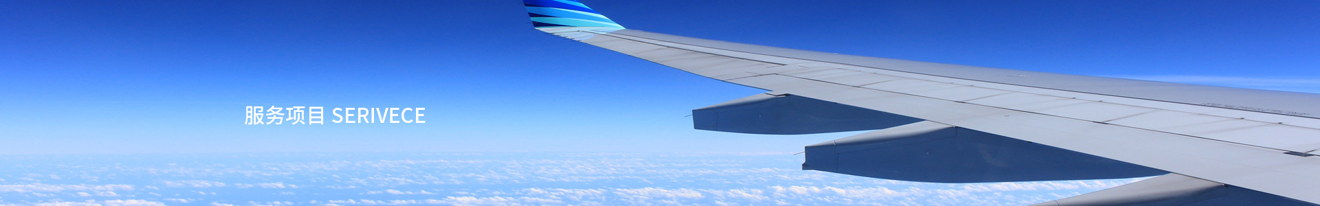 服務項目